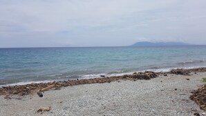 Una playa de guijarros con ramas de madera varadas y un perro tumbado en la orilla.