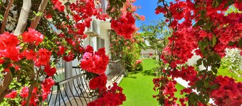 Kiraz Otel
