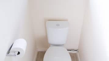 A small, white bathroom with a toilet, a window with a white valance, and a roll of toilet paper on the wall.