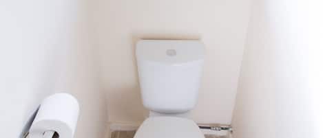 A small, white bathroom with a toilet, a window with a white valance, and a roll of toilet paper on the wall.