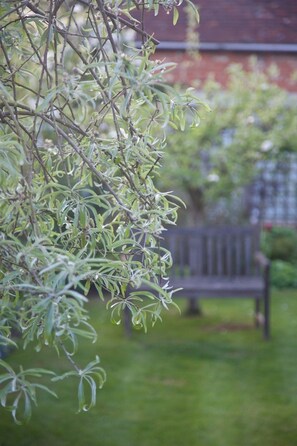 Garden - Hedingham Old Pottery (Halstead)