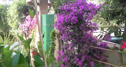 Villa Il Fortino