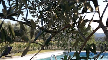 Alberca al aire libre por temporada