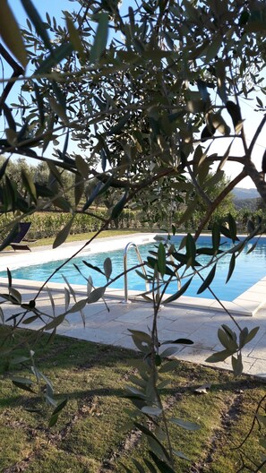 Piscine extérieure (ouverte en saison)