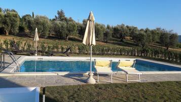 Una piscina rectangular amb una zona de solàrium enrajolada, envoltada de gandules i paraigües.