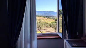 A window with a view of a landscape, curtains, and a wooden ledge. - Residenza D'Epoca Villa Agnolaccio (Pistoia)