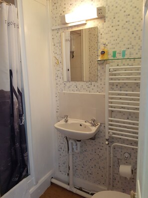 Bathroom features a sink, mirror, shower, and toilet, with a mosaic tile pattern on the walls.