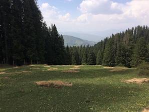 Escape to a serene landscape surrounded by lush green fields, coniferous forests, and majestic mountains.