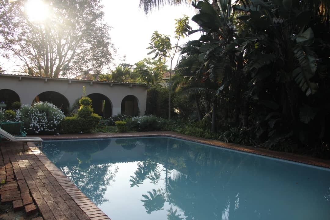 A swimming pool surrounded by lush greenery and a brick pathway.
