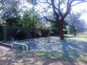 Exterior - Breeze Guest House (Bulawayo)