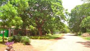 A rural road flanked by trees and greenery, leading to a small building with a green fence. - Breeze Guest House (Bulawayo)
