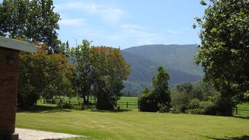 Vista desde la habitación
