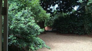Un sendero de grava que atraviesa un área boscosa con densa vegetación a ambos lados.