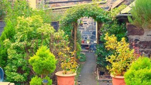 Un sendero de jardín que lleva a un arco de piedra rodeado de abundante vegetación y plantas en macetas.