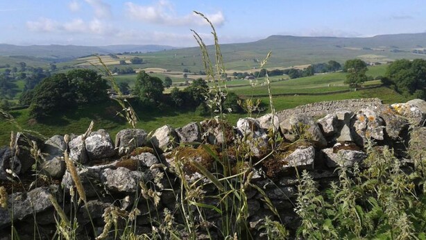 A stone wall with a view of rolling hills and fields. - Thornsgill House B&B (Leyburn)