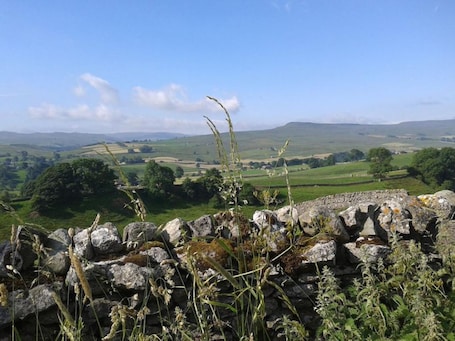 Vista desde la propiedad