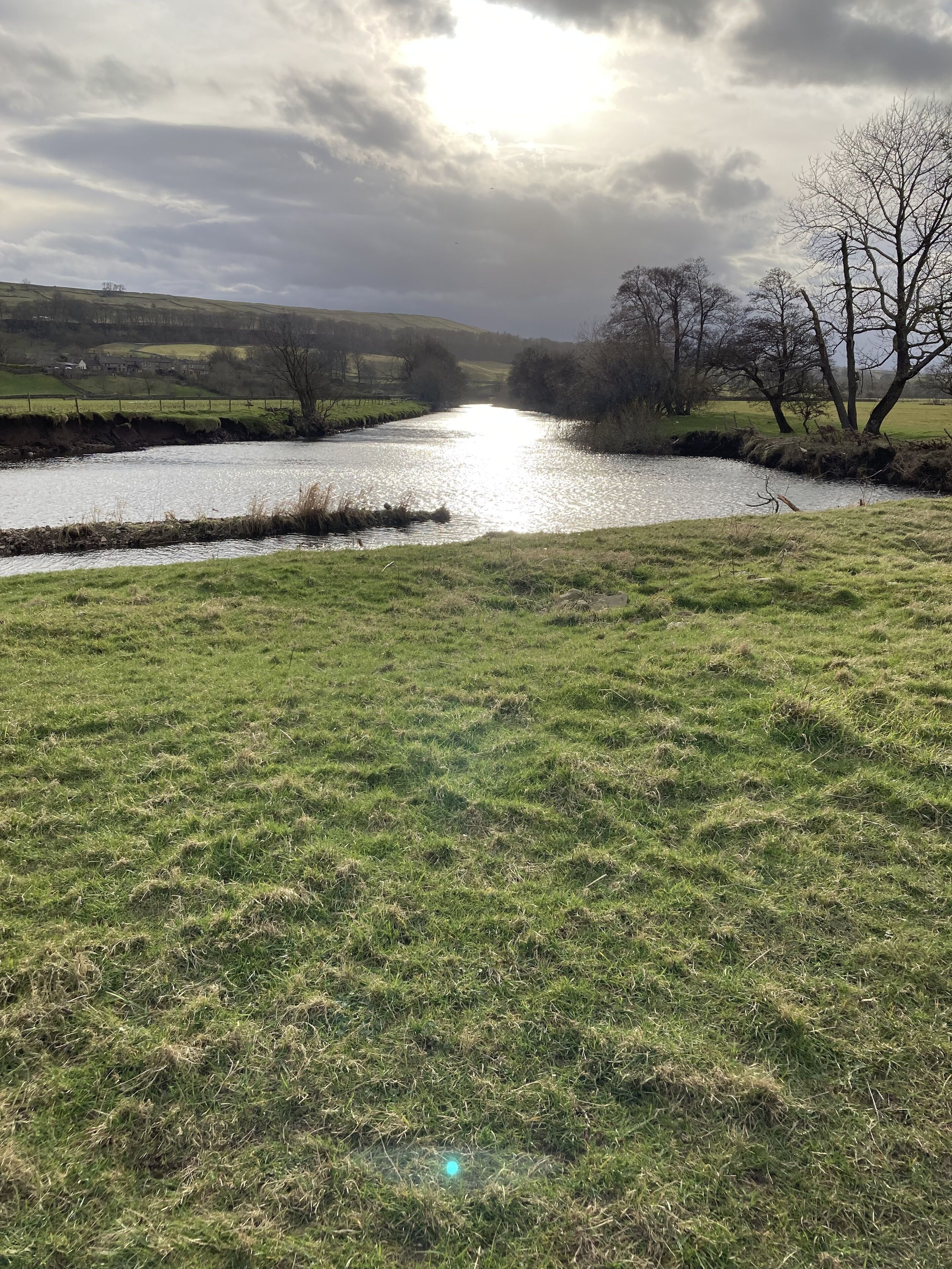 A river with a grassy bank and trees in the background.