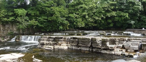 A natural waterfall with a rocky ledge and dense green foliage in the background.