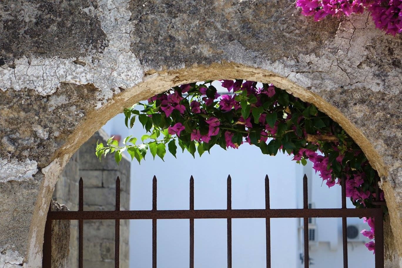 Een gewelfde stenen deuropening met een metalen poort, overwoekerd met bougainvillea.