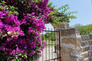 Exterior detail - Masseria Carignani (Tuglie)
