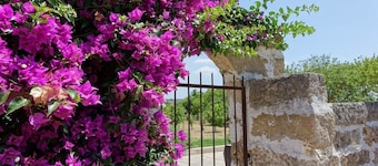Masseria Carignani