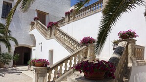 Edifici blanc amb escales de pedra, flors en testos i palmeres.