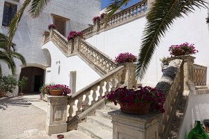 Detalle del exterior