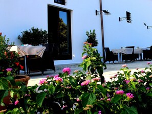 Free daily local cuisine breakfast - Masseria Carignani (Tuglie)