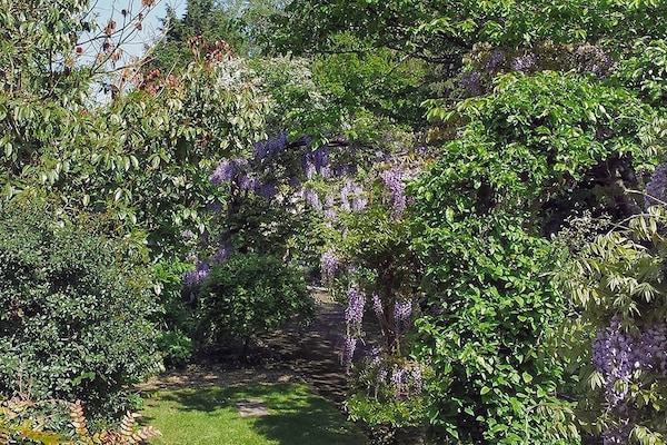 Cottage | Garden