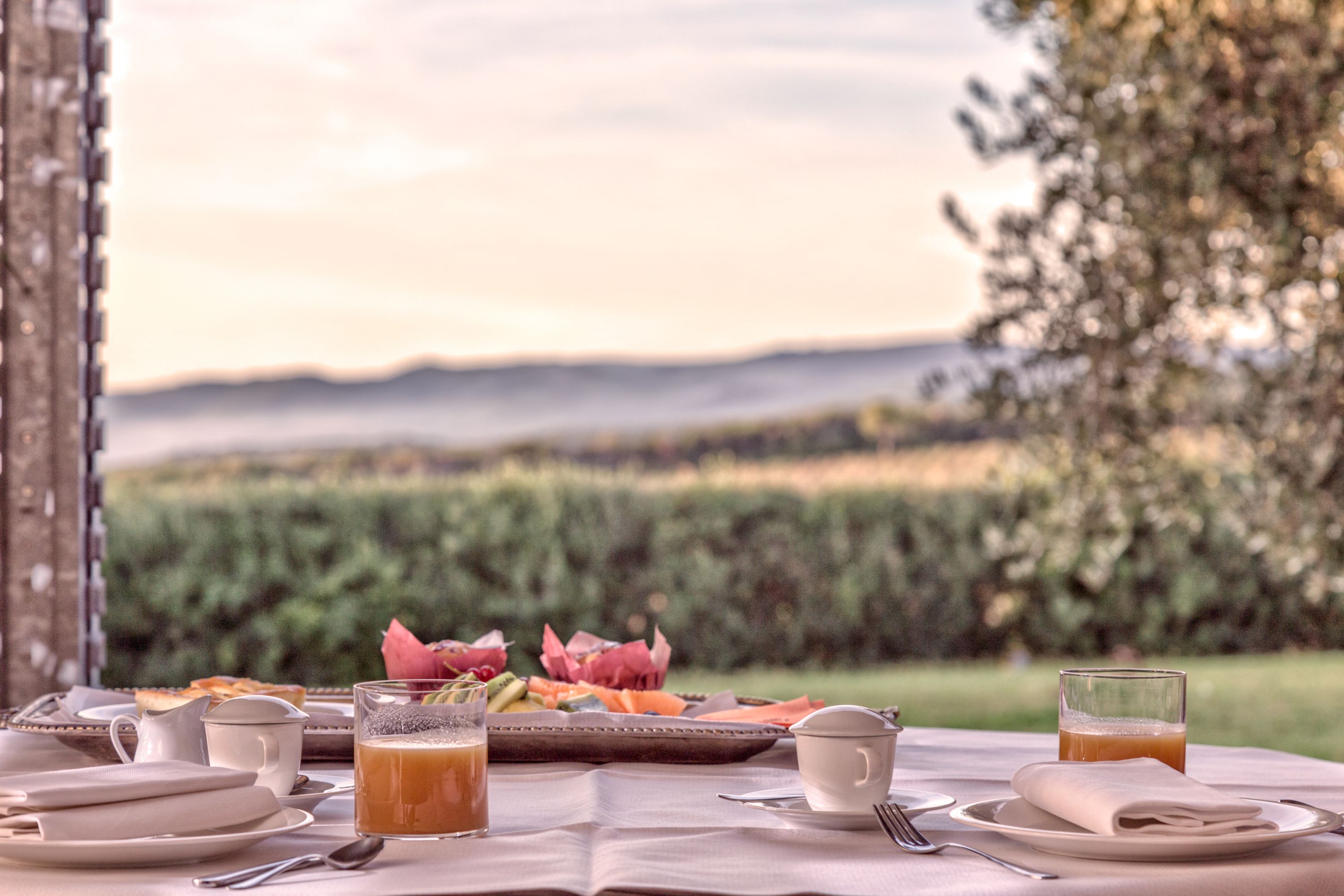 A table set for breakfast with a scenic view of a vineyard and hills in the background.