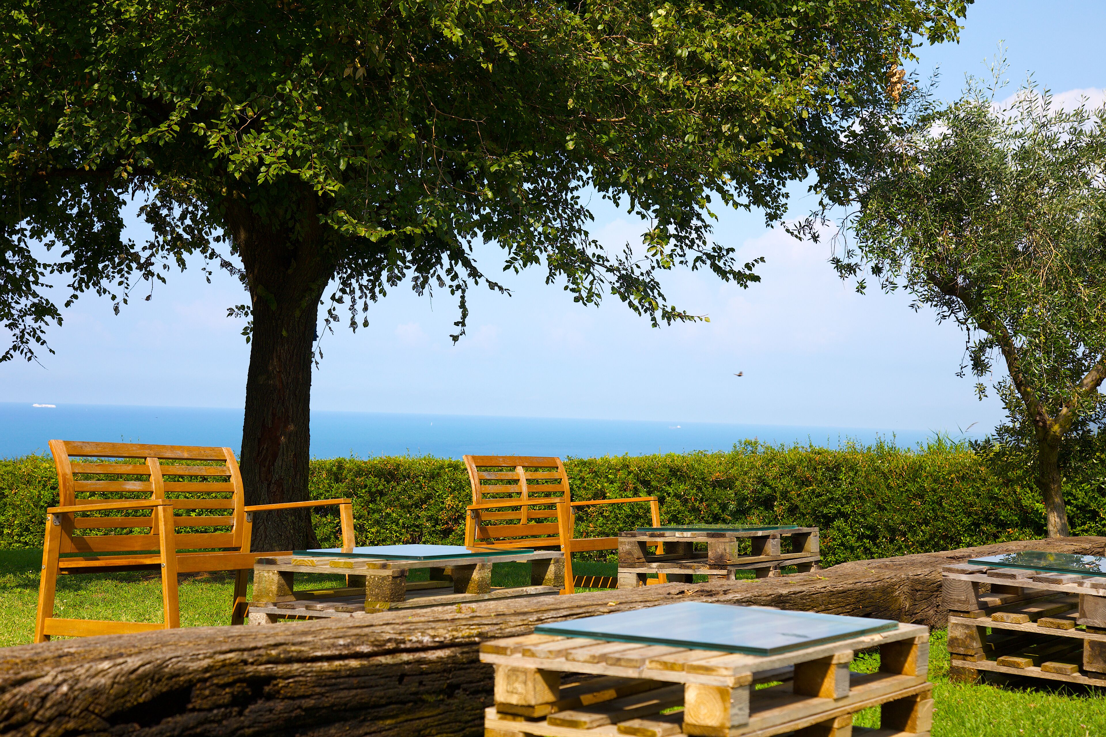 Outdoor seating with wooden chairs and tables, a large tree, and a view of the sea.