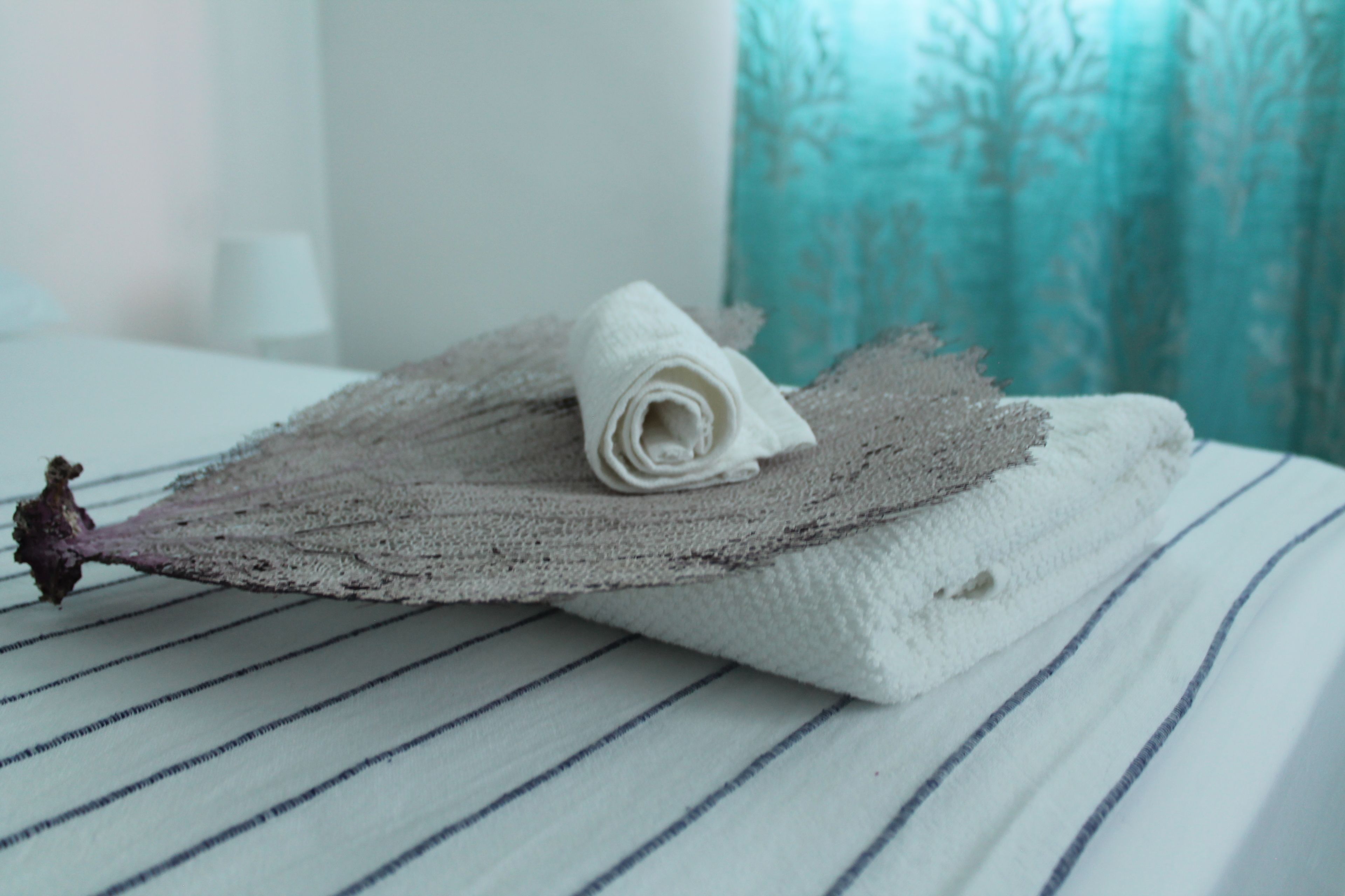 Foto - B&B Villa Luna