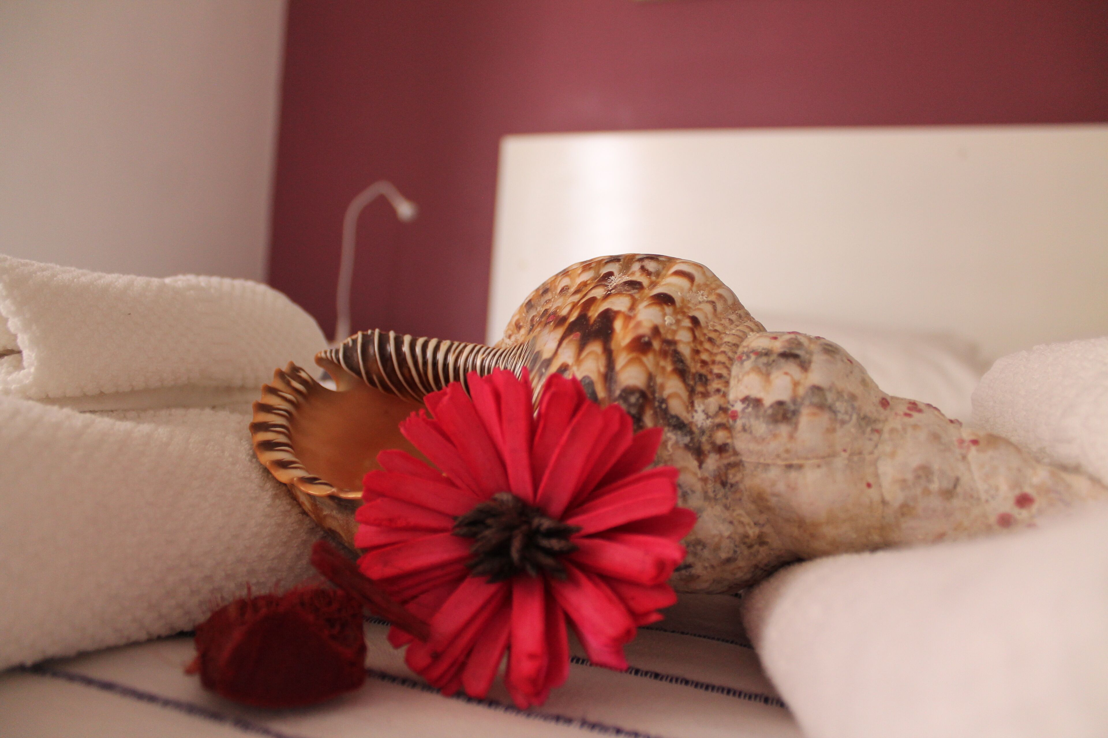 Foto - B&B Villa Luna