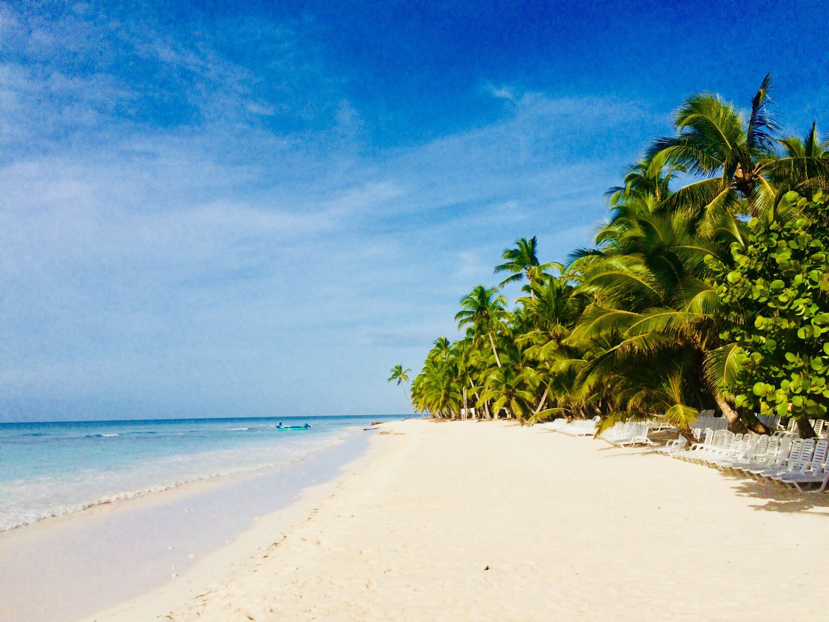 Foto - B&B Villa Luna