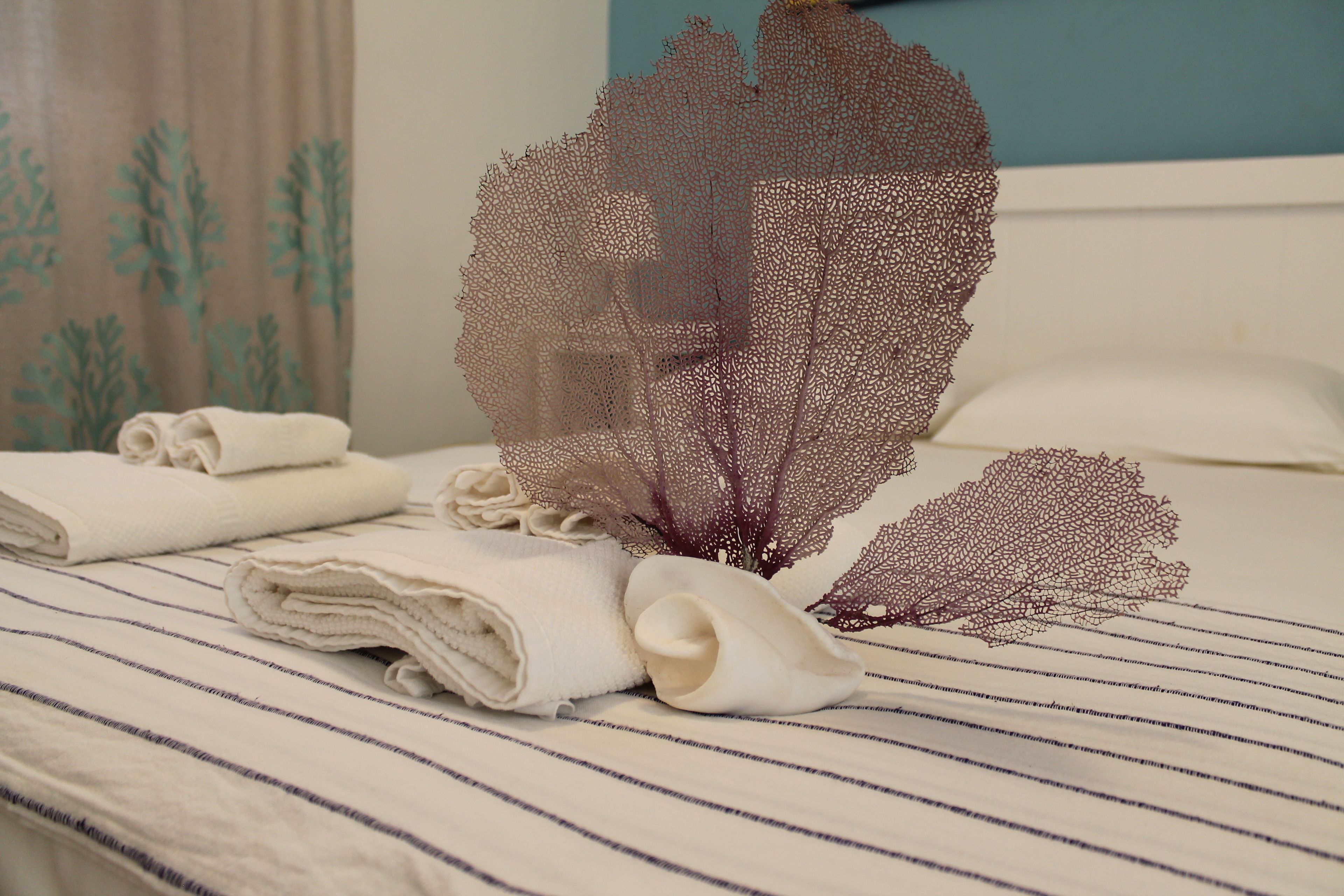 Basic Room, 1 Bedroom