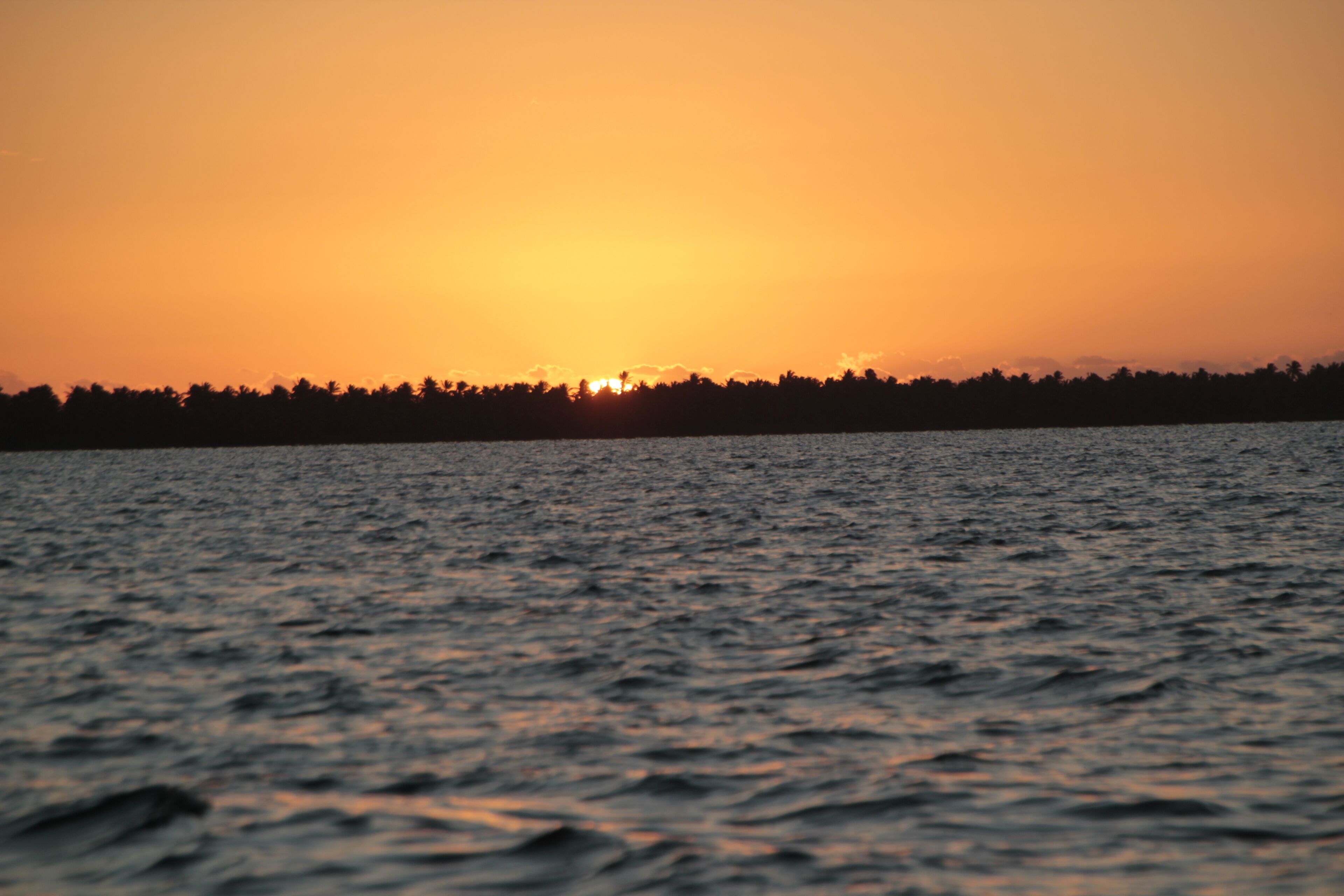 Foto - B&B Villa Luna