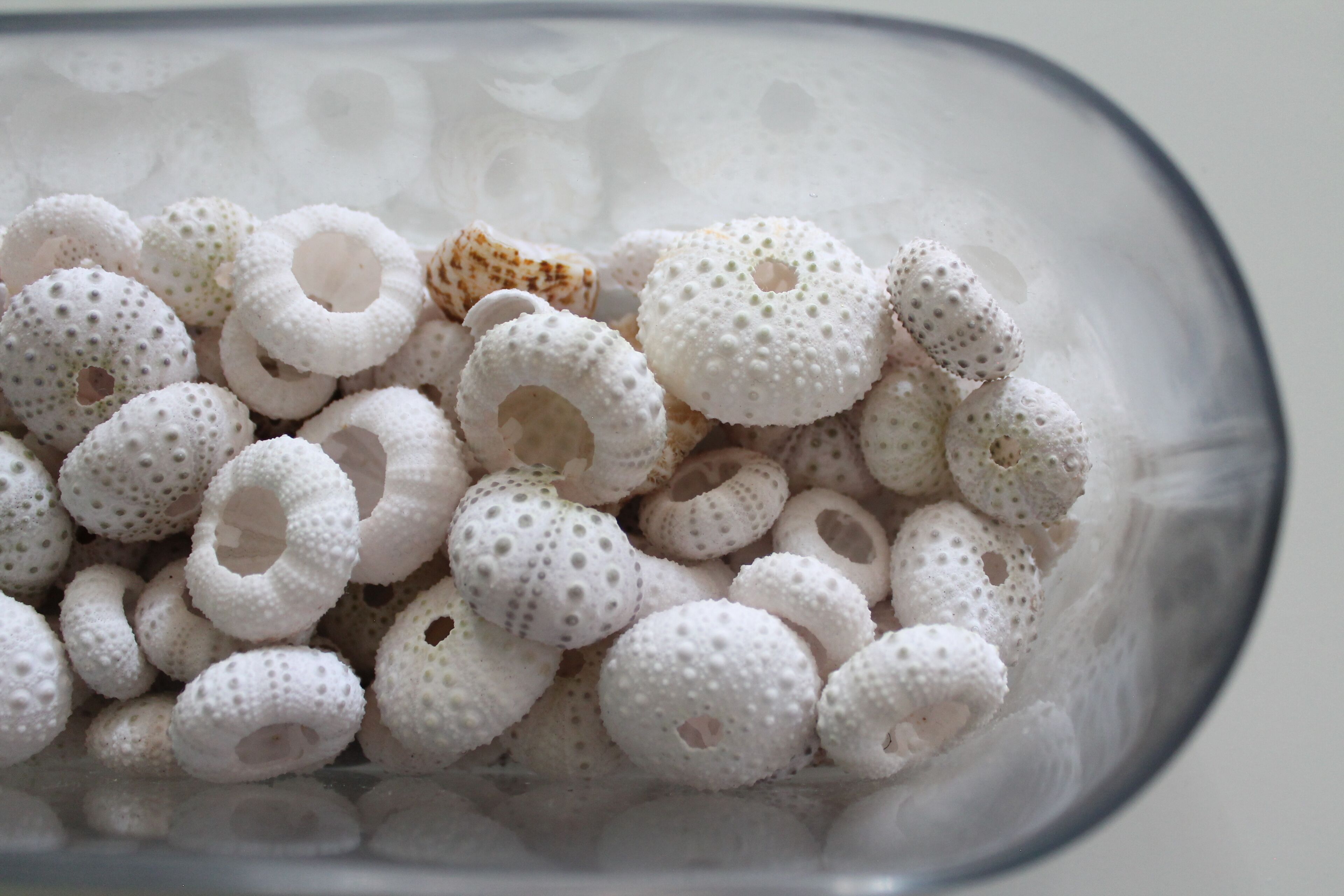 Foto - B&B Villa Luna