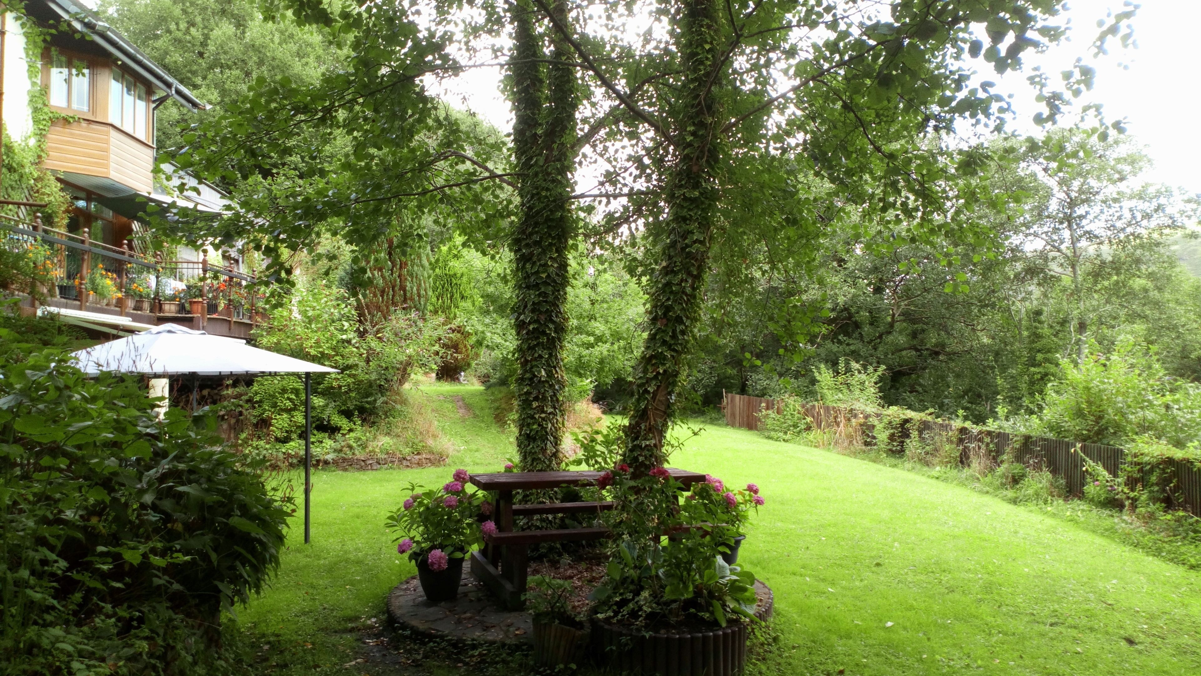 A lush garden with a wooden bench, a pergola, and a variety of plants.
