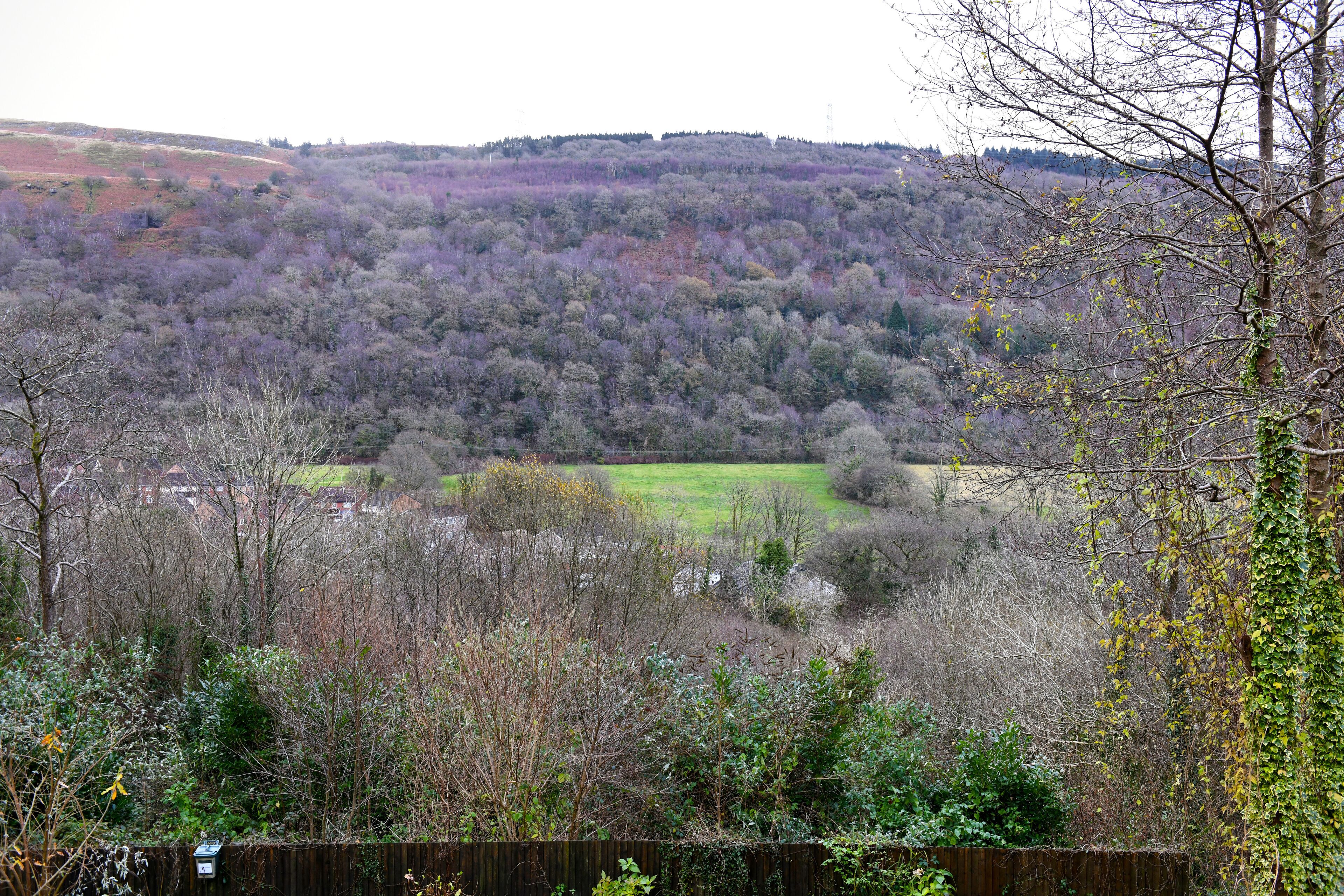 Paisaje rural con árboles, campos abiertos, una cerca de madera y una colina distante.