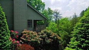 A green house with a covered porch surrounded by lush greenery and flowering plants. - Stewart's Path Apartment (Boone)