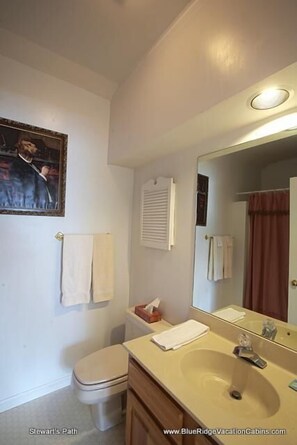 A bathroom with a toilet, sink, mirror, and towel rack. - Stewart's Path Apartment (Boone)