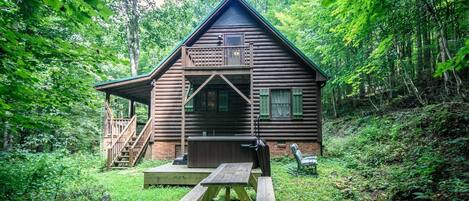 House | BBQ/picnic area