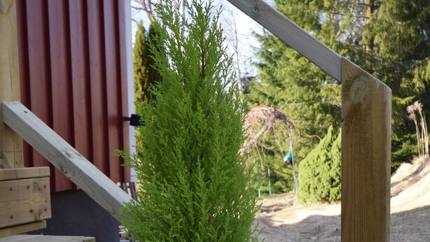 A wooden staircase with a metal bucket planter on the steps. - Vänern Property apartments (Grums)