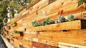 A wooden wall with planters labeled "SUCCULENT LIBRARY" containing various succulents. - Inn at Moonlight Beach (Encinitas)