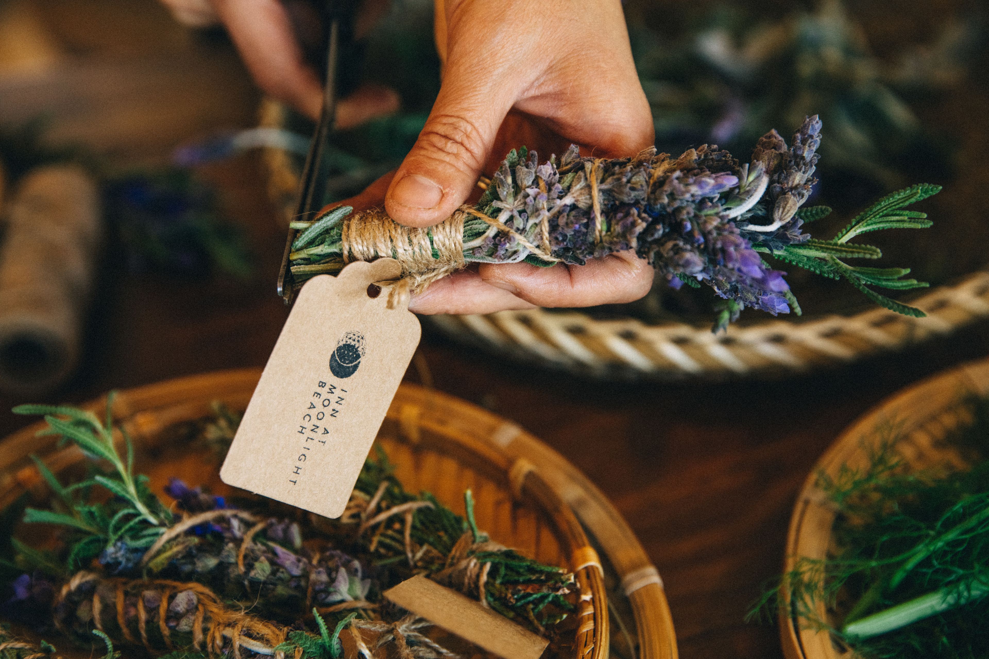 Foto - Inn at Moonlight Beach