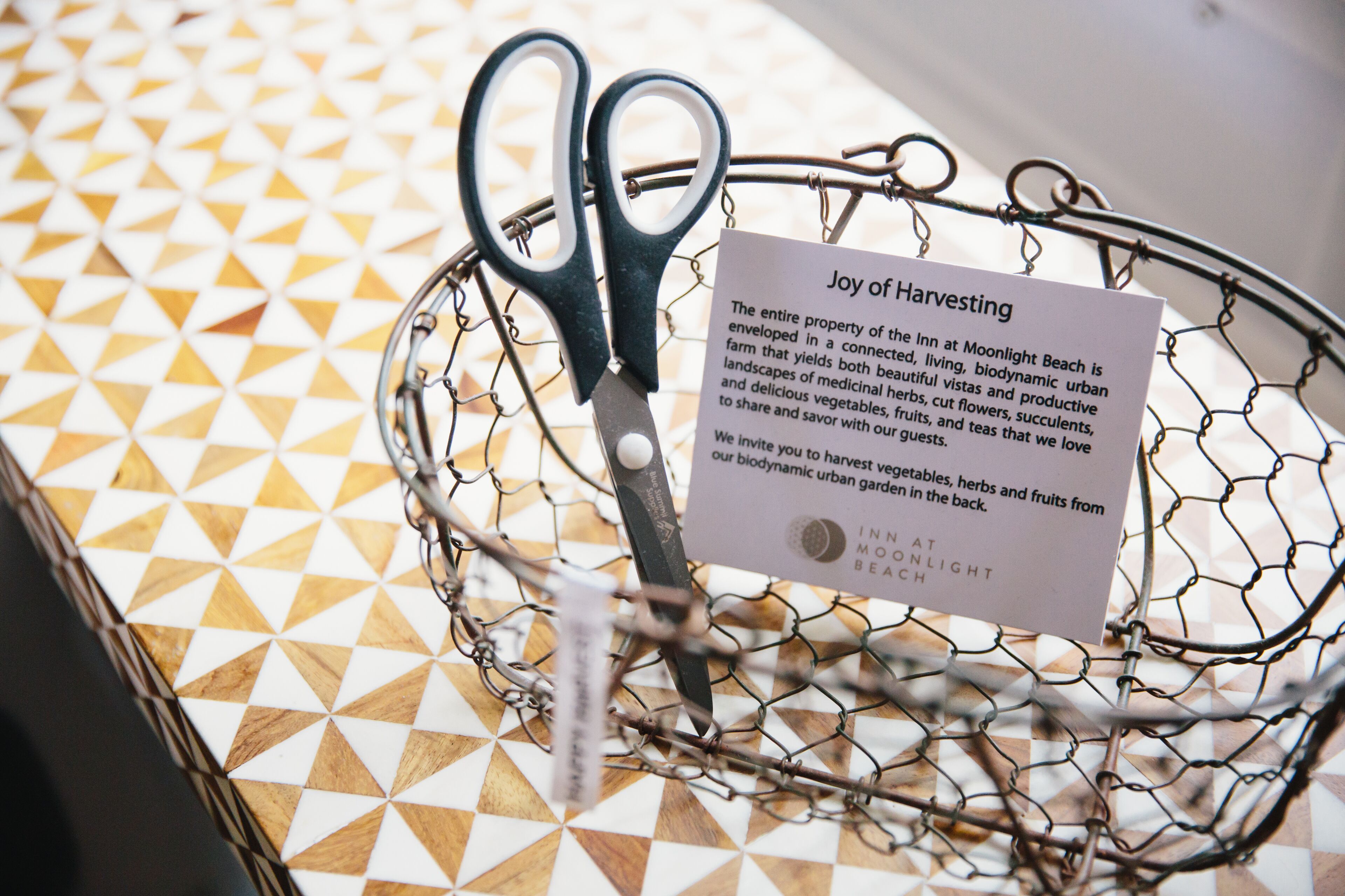 Foto - Inn at Moonlight Beach