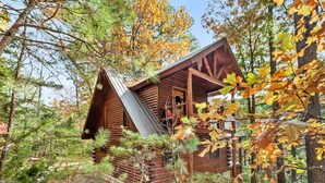 A cabin surrounded by trees with a wooden exterior and a metal roof. - Cinnamon Valley Resort (Eureka Springs)