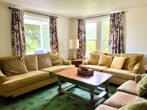 Smart TV, Netflix, libros y servicios de streaming 