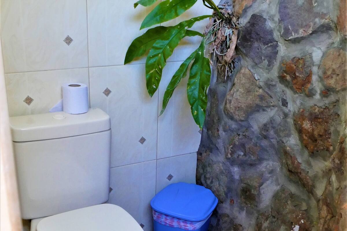 Dusche, kostenlose Toilettenartikel, Handtücher