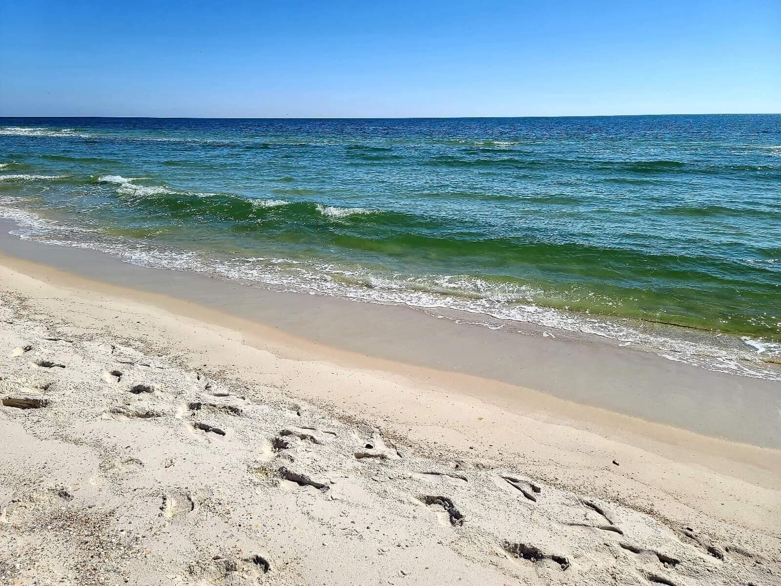 Une plage de sable où l’on peut voir des empreintes menant à l’eau.